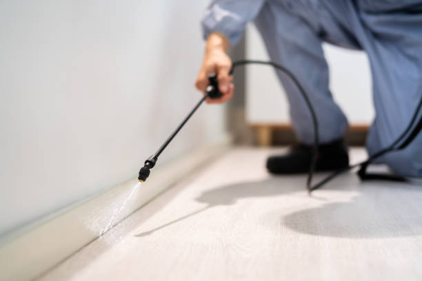 Licensed Pest Control service in Norwood, NY - Show Me Pest Control
