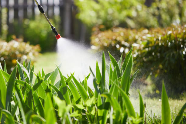 Tamper-Resistant Bait Stations for Rodents in Norwood