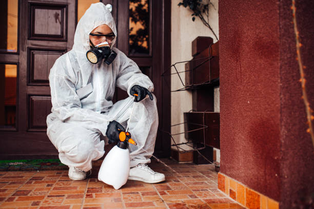 Attic and Crawl Space Rodent Treatment in Norwood